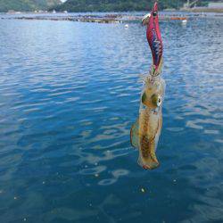 めっちゃ渋い(T-T)