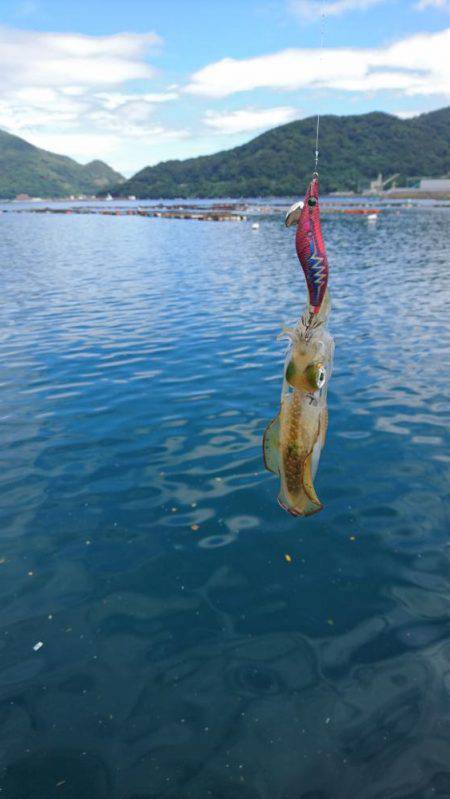 めっちゃ渋い(T-T)