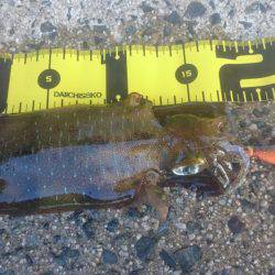 台風が来る前に