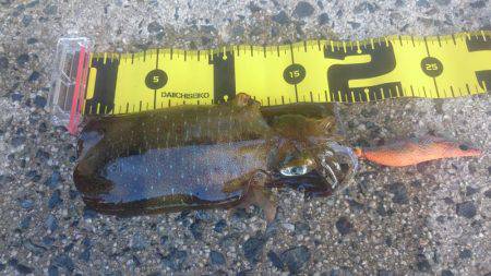 台風が来る前に