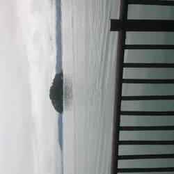 明石川河口で8目釣り