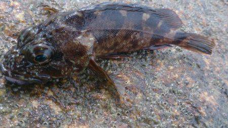 のんびり探り釣り