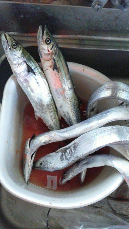 ポーアイ沖にて