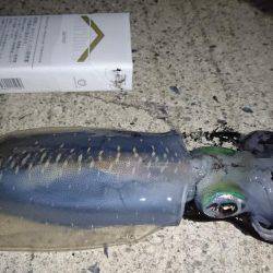 どんどん成長してくれてます。