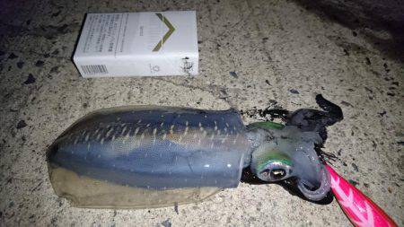 どんどん成長してくれてます。