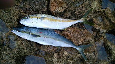 出ると信じて投げた結果