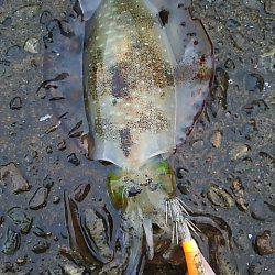 遠征２日目 須賀利編