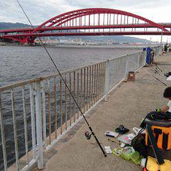 アジ・サバがよく釣れました（太刀魚は渋かった）