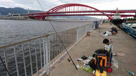 アジ・サバがよく釣れました（太刀魚は渋かった）