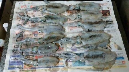 アオリ今秋初釣行