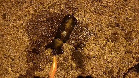 一応トンカツも・・・