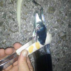 友人家族とワインド