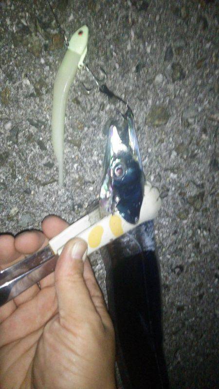 友人家族とワインド