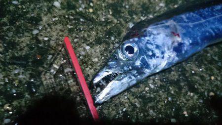 水軒でミニタチ