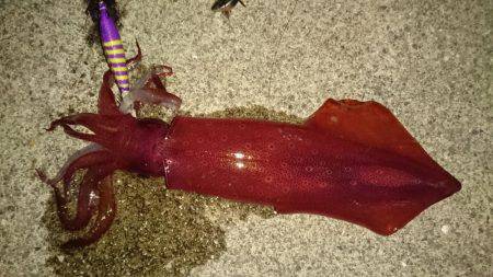 爆風が止んだ瞬間