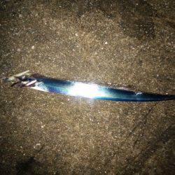 タチウオ&サゴシ