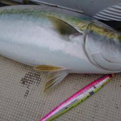 明石魚英初乗船