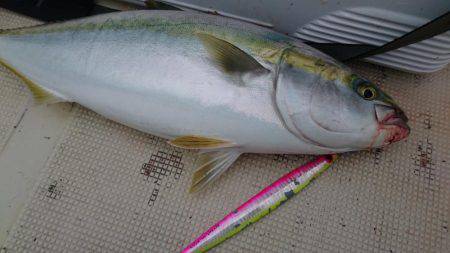 明石魚英初乗船