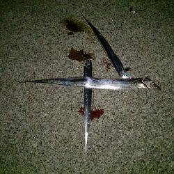 サイズは選べません