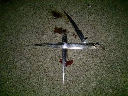 サイズは選べません