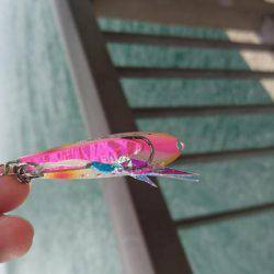 ここは日本かい?