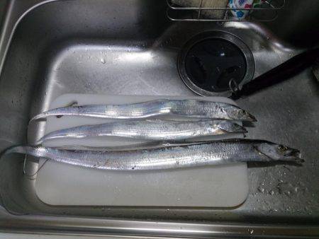 ここは日本かい？