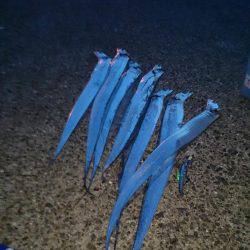 ショ―トバイト