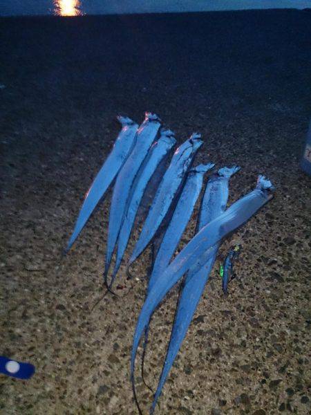 ショ―トバイト