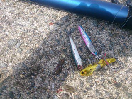 遊びすぎやで(笑)