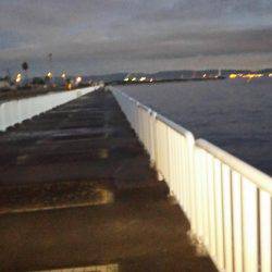 南港うおつり園釣果!!