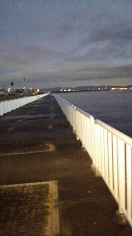 南港うおつり園釣果!!