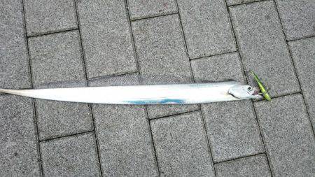 宇宙広場de刀狩