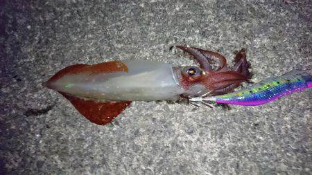 ひとヒトひと…