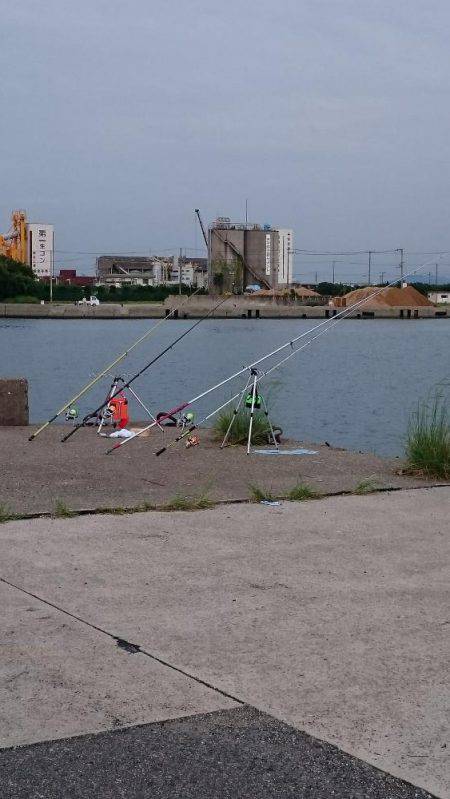 投げ釣り、キス釣り
