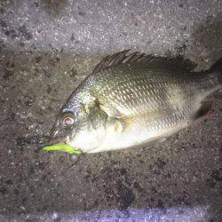 チーバスチビレ