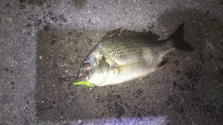 チーバスチビレ