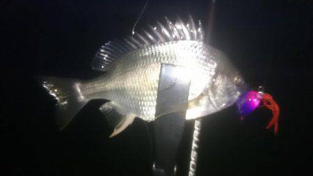 ワインドできず…