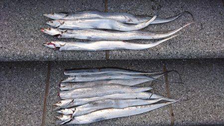 だらだらアタリが続く