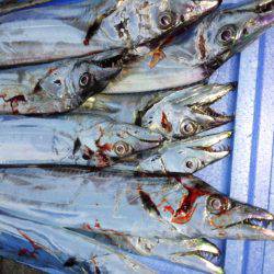 今年初南港。。