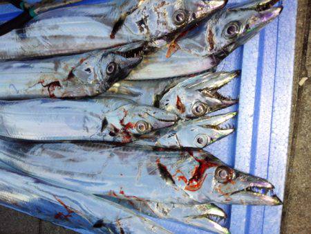 今年初南港。。