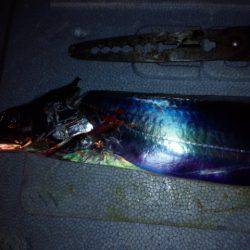 リベンジ　コスモスクエア