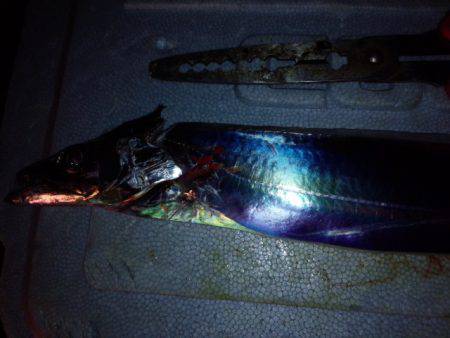 リベンジ　コスモスクエア