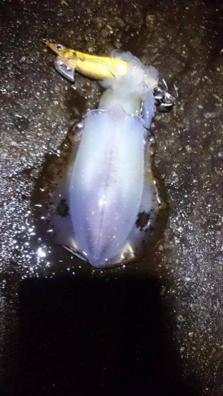 一瞬のジアイ。