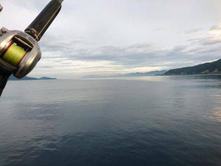 ベイトショアジギング