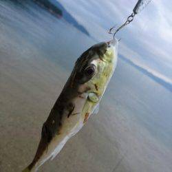 台風後のサーフで