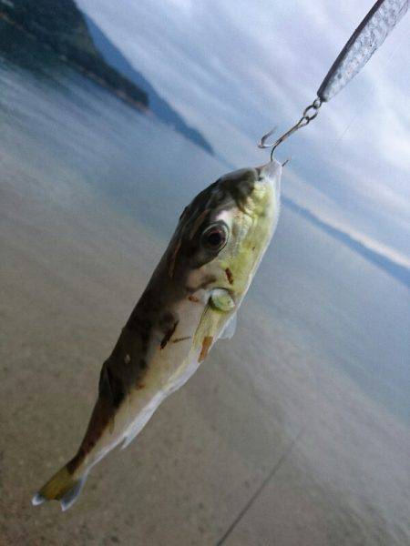 台風後のサーフで