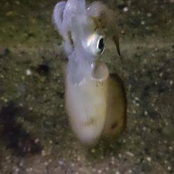 雨にも負けず。