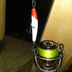 台風後の濁りで活性が上がったかな？