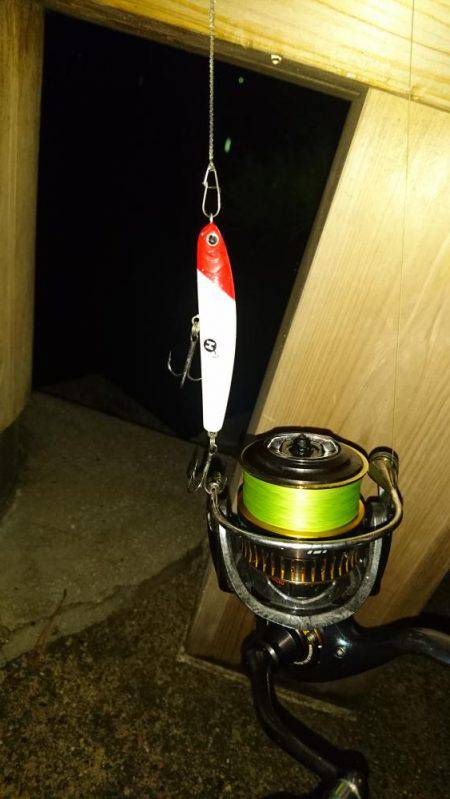 台風後の濁りで活性が上がったかな？