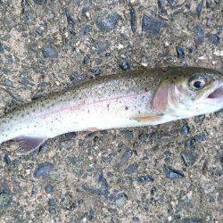 名阪森林パーク